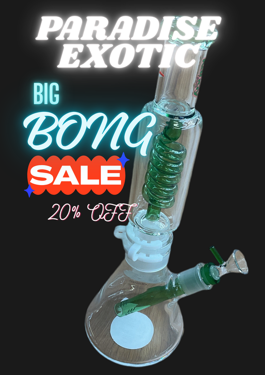 BONG SALE 20% OFF