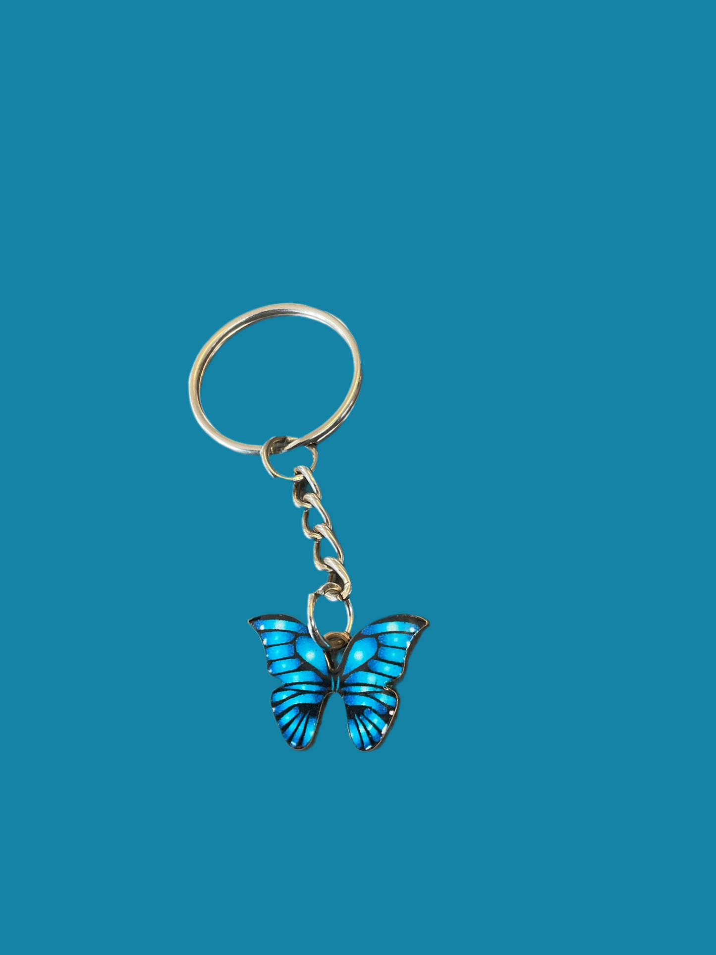 THE BUTTERFLY COLLECTION