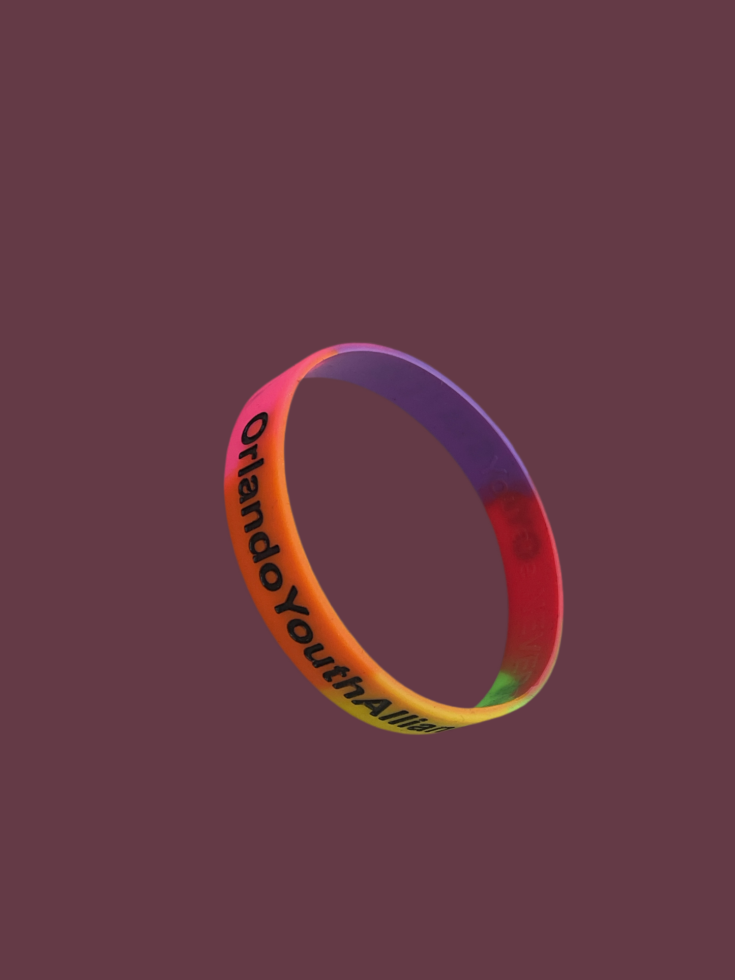 Orlando youth alliance