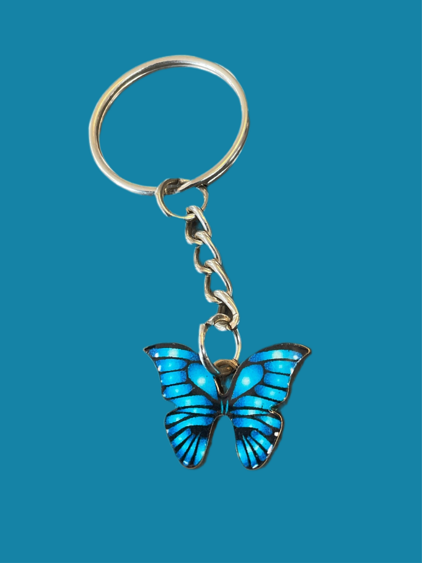 THE BUTTERFLY COLLECTION