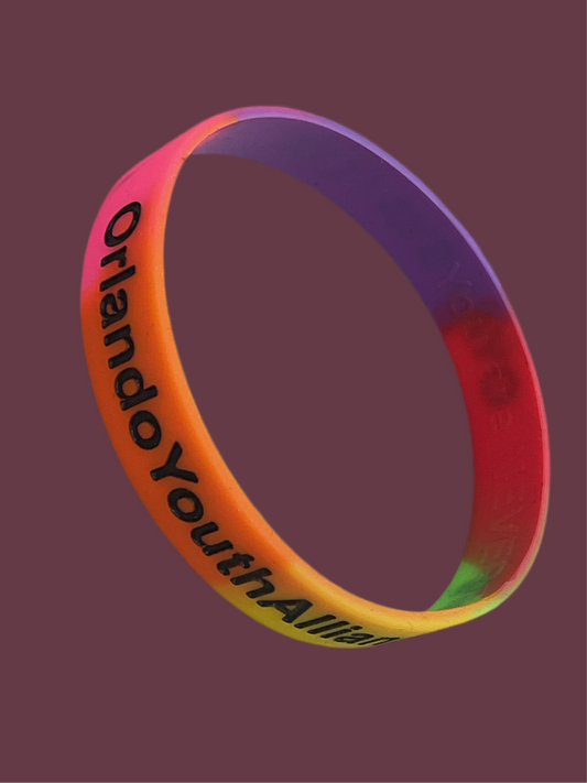 Orlando youth alliance