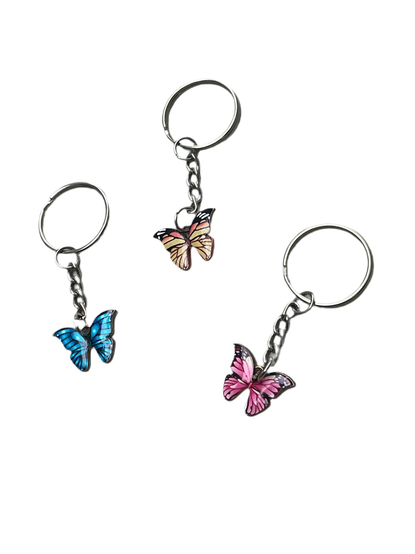 THE BUTTERFLY COLLECTION