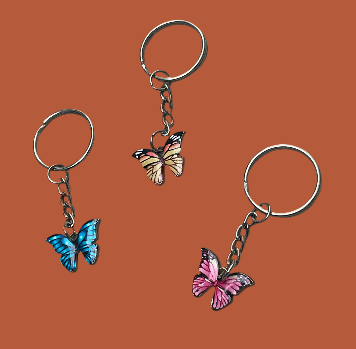THE BUTTERFLY COLLECTION